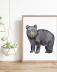 Black Bear Art Print