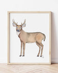 Deer Art Print