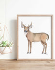 Deer Art Print