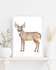 Deer Art Print