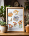 Mushrooms of Appalachia Art Print